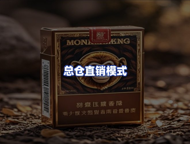 专业团队